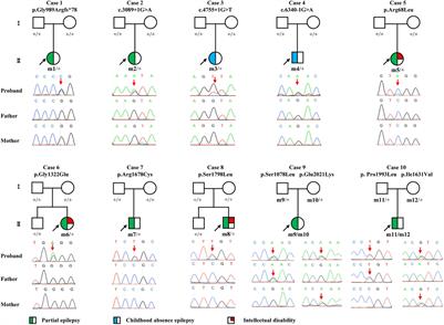 CACNA1A Mutations Associated With Epilepsies and Their Molecular Sub-Regional Implications